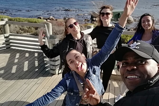 Private lovely journey to Penguins-Cape point-Cape of good hope - Why this private Cape Town route works