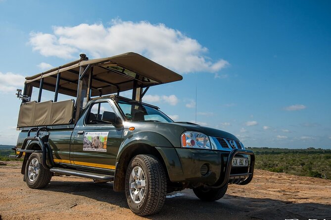 Private Morning Game Drive from Hazyview l Kruger National Park - Key points at a glance