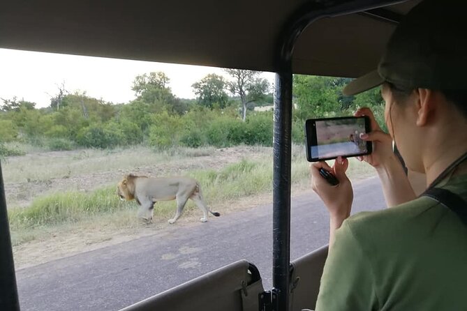 Private Morning Game Drive from Hazyview l Kruger National Park - Into Kruger in search of the morning sightings