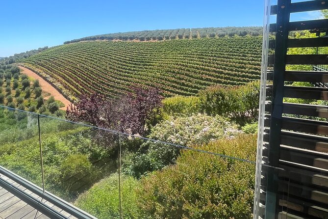Private/Personalized Full Day Wine Tasting Tour Cape Winelands - Food choices are flexible, but not included