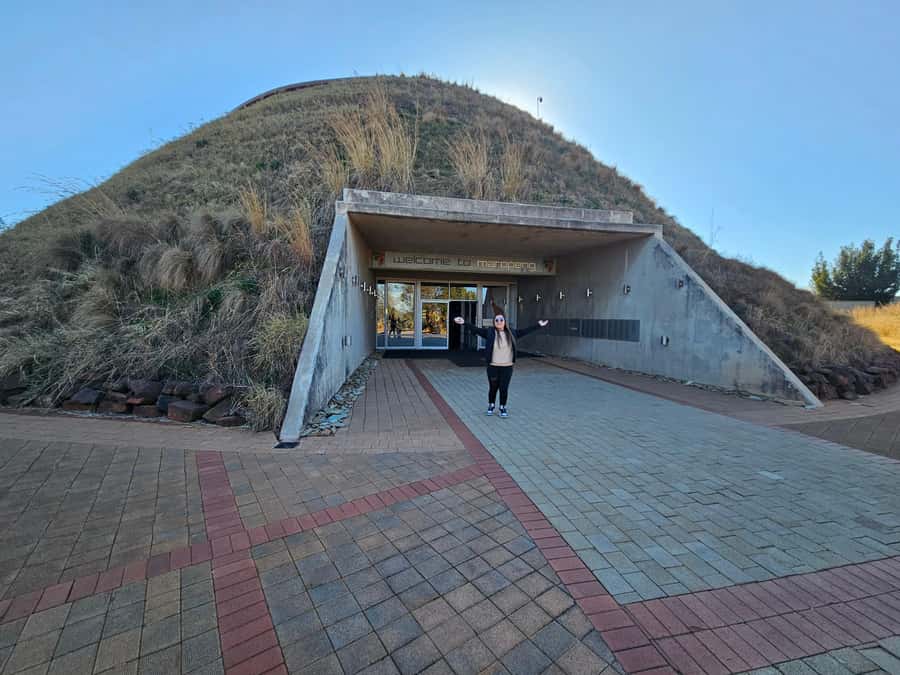 Private Rhino and Lion Park, Cradle Caves or Maropeng Museum - Three hours among lions, rhinos, and wild dogs