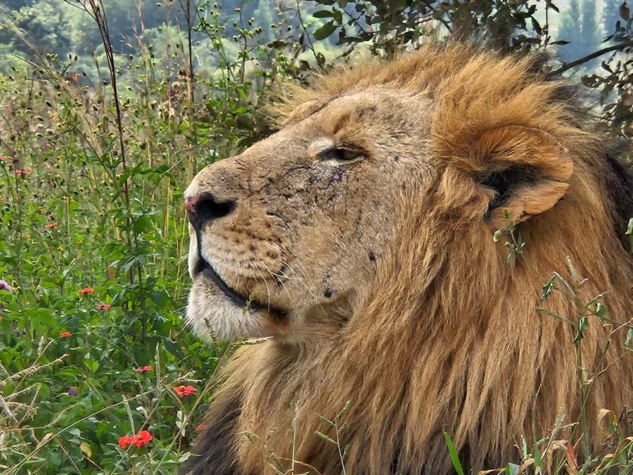 Private Rhino and Lion Park, Cradle Caves or Maropeng Museum - Maropeng Museum and the story of human origins