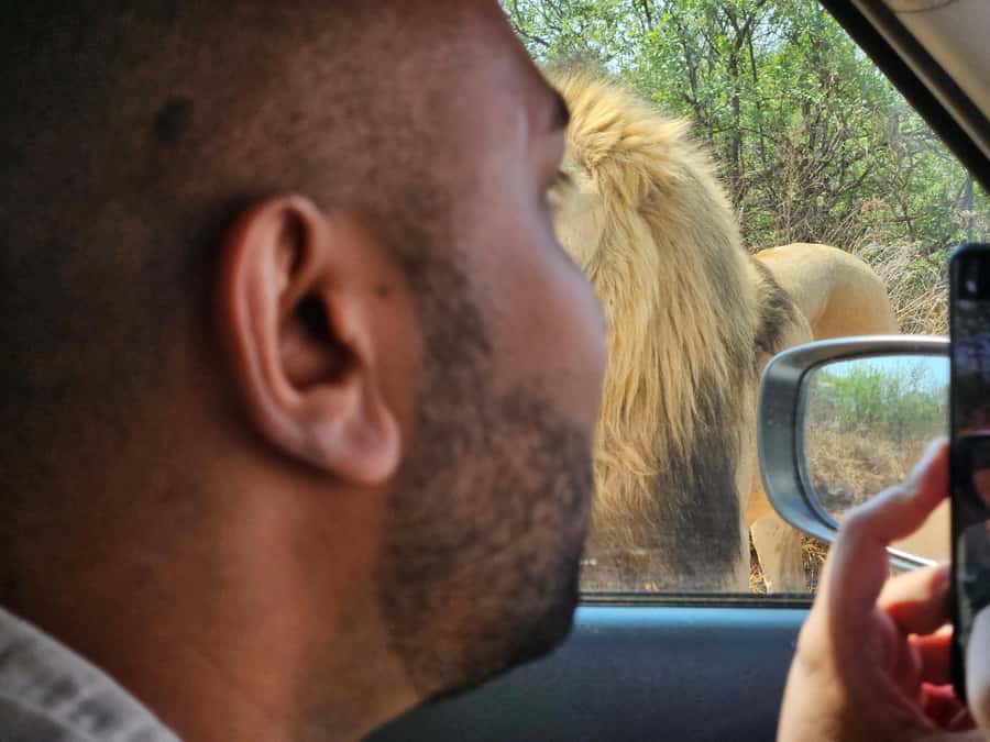 Private Safari Tour: Pilansberg National Park Big 5 - Key points at a glance