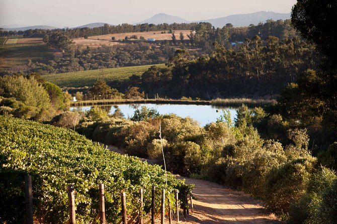 Private Stellenbosch, Franschhoek and Paarl Wine Tour - What the $175.95 price really covers
