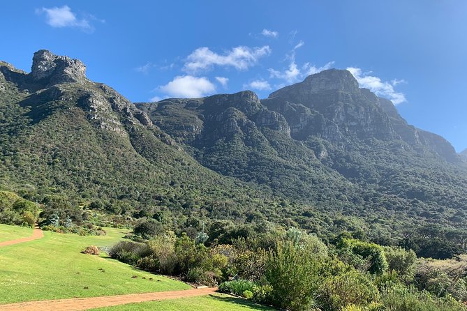 Private Table Mountain, Kirstenbosch and Constantia Wine Tasting. - Two hours among the plants at Kirstenbosch