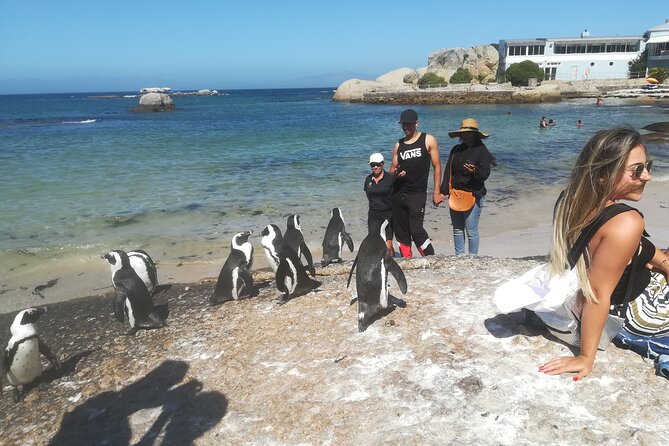 Private Tour : Cape of Good Hope,Penguin Colony& Muizenberg Beach - Chapman’s Peak Drive, one curve after another