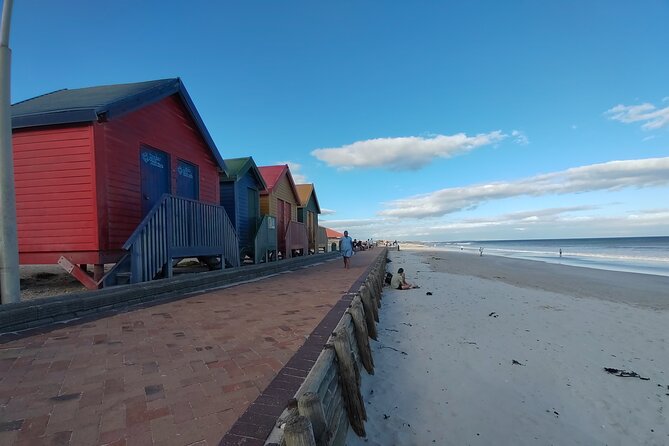 Private Tour : Cape of Good Hope,Penguin Colony& Muizenberg Beach - Cape Point and the old lighthouse