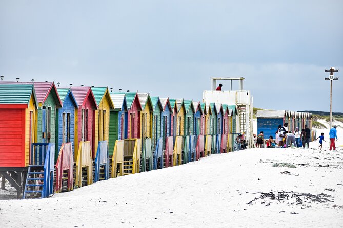 Private Tour Cape of Good Hope & Penguins Sightseeing Full day - Cape Point Nature Reserve: plants, wildlife, and open coast