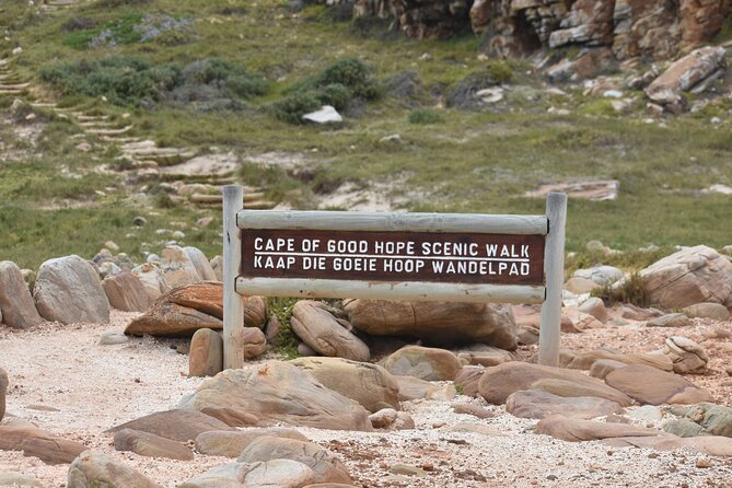 Private Tour Cape of Good Hope & Penguins Sightseeing Full day - Boulders Beach and the African penguins