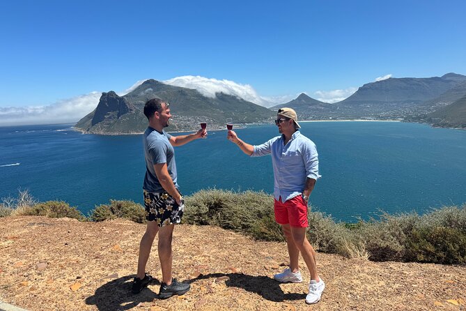 Private Tour: Cape Peninsula & Penguin Beach, Cape Point & more - Why this private Cape Peninsula day works well