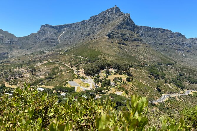 Private Tour: Cape Peninsula & Penguin Beach, Cape Point & more - The optional Seal Island boat ride
