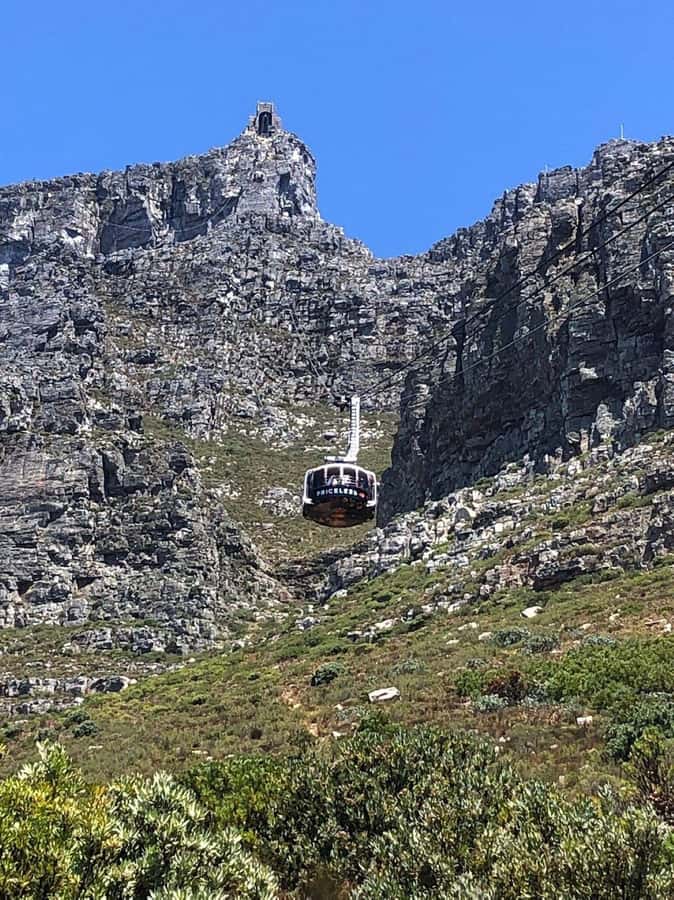 Private Tour: Robben Island, City Tour and Table Mountain - The guides make the difference