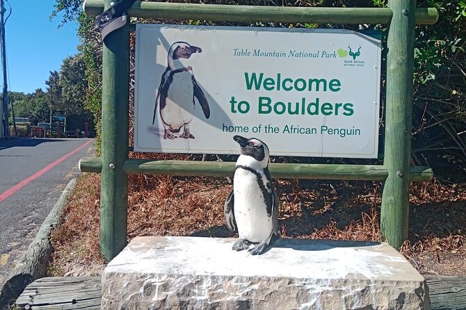 Private Tour: Table Mountain Boulder's Beach Penguin Cape Point - Camps Bay and Maiden’s Cove photo views