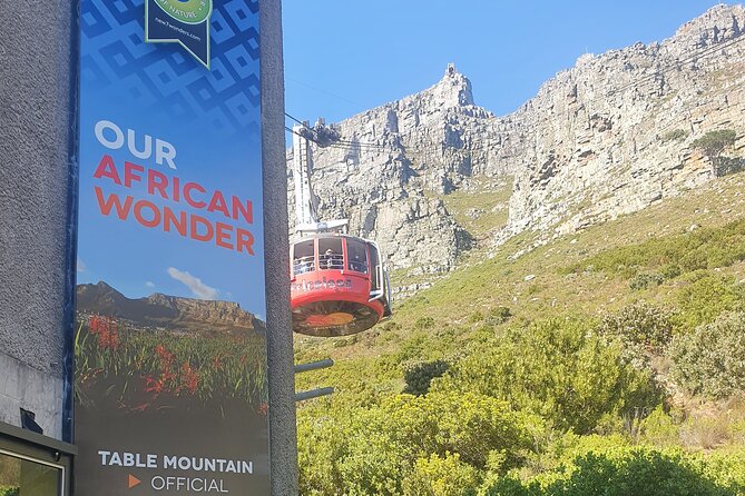 Private Tour: Table Mountain Boulder's Beach Penguin Cape Point - Chapman’s Peak Drive: the road is part of the attraction
