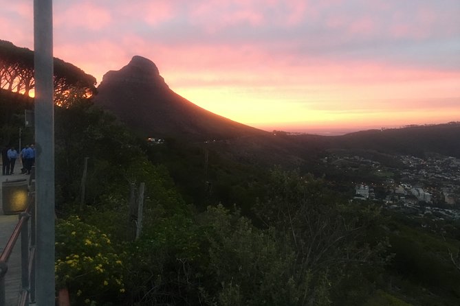 Private Tour: Table Mountain, Penguin Colony & Cape of Good Hope incl. Park Fees - Cape Point Vineyards and the cost of extras