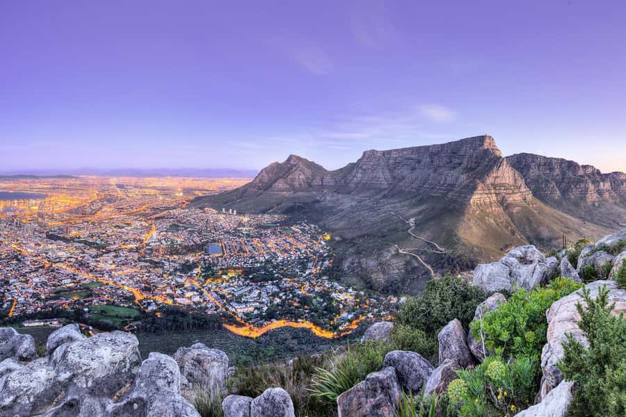 Private Tour: Table Mountain, Penguins Colony & Cape Of Good - Boulders Beach and the African penguin colony