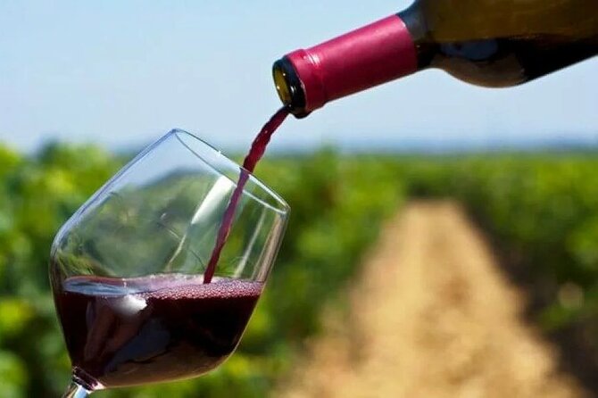 Private Tour to 20 Wine Tasting in Stellenbosch and Franschhoek - Delaire Graff: luxury views and five premium wines