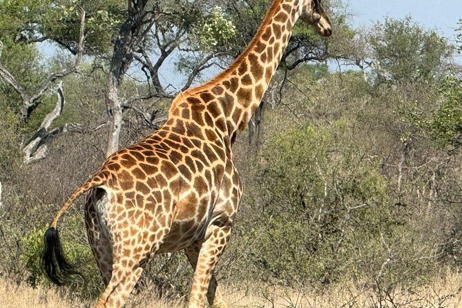 Private Tour to Aquila Game Reserve in Cape Town - see the Big5 - Leaving Cape Town for Aquila Game Reserve