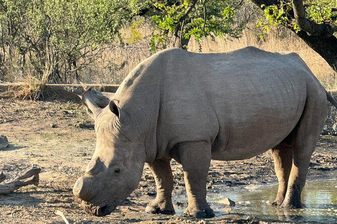 Private Tour to Aquila Game Reserve in Cape Town - see the Big5 - The Du Toitskloof Tunnel and the mountain route