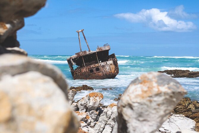 Private Tour to Cape Agulhas Full Day from Cape Town - The schedule’s biggest strength and weakness