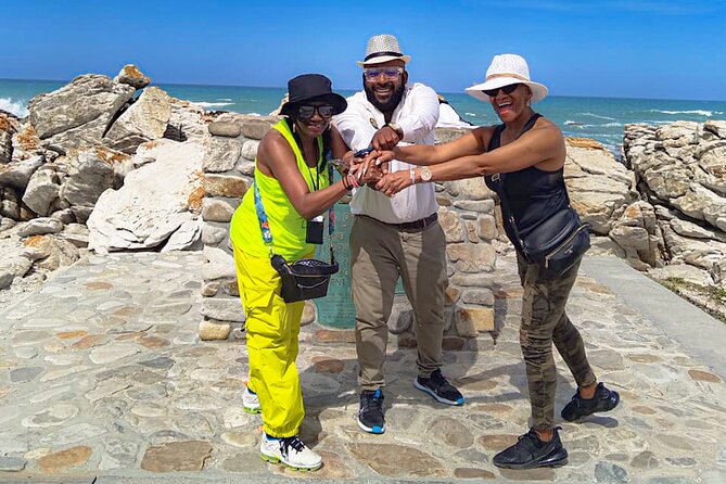 Private Tour to Cape Agulhas Full Day from Cape Town - Who should book this day trip?