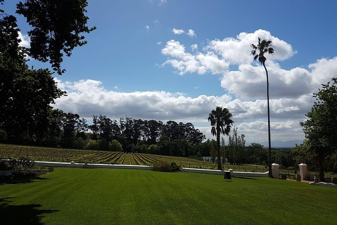 Private Tour with Wine Expert to Cape of Good Hope & Constantia Wine Region - Starting at 8:00 am in an air-conditioned vehicle