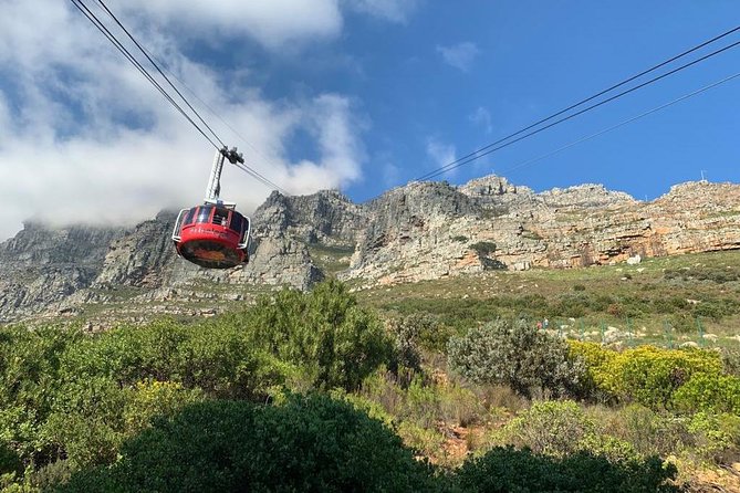 Private Tours in Cape Town - The Cape Peninsula in seven hours
