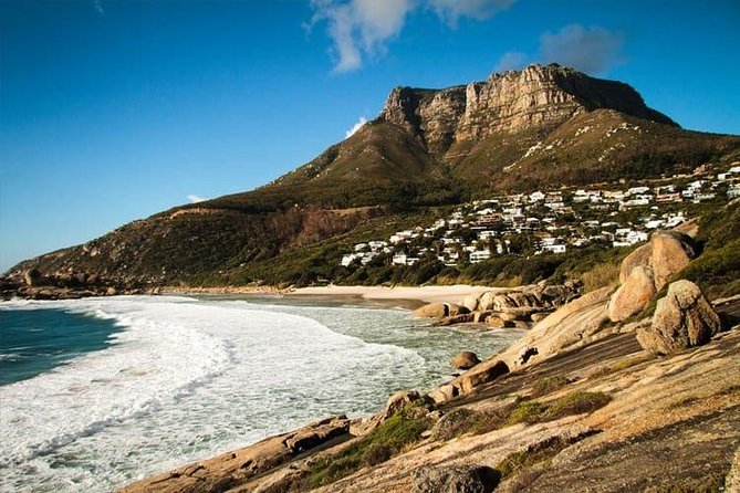 Private Transfer: CPT Airport to Cape Town in Luxury Van - The Luxury Van Ride Into Cape Town