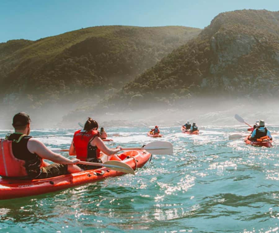 Private Tsitsikamma Tour - Full Day - Key points to know before booking