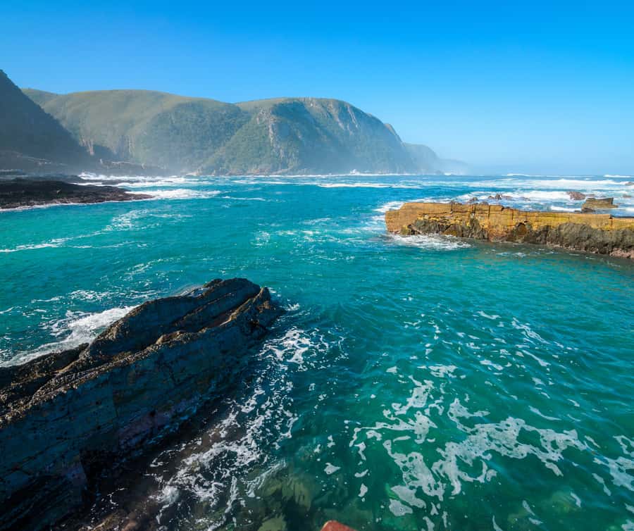 Private Tsitsikamma Tour - Full Day - Why this nine-hour Tsitsikamma day works