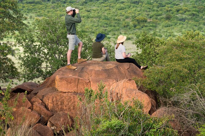 Private Ultimate Pilanesberg Safari from Johannesburg - Key things to know before booking