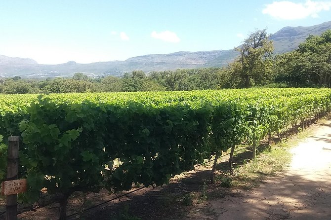 Private Visit to the Wineries Stellenbosch Franschoek from Cape Town Full Day - Paarl: rock, language, and an old dividing line