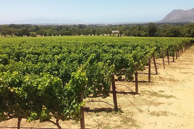 Private Visit to the Wineries Stellenbosch Franschoek from Cape Town Full Day - The views between Stellenbosch, Paarl, and Franschhoek