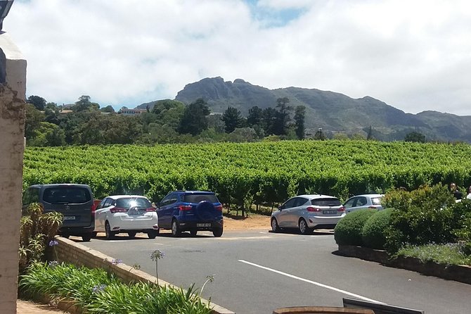 Private Visit to the Wineries Stellenbosch Franschoek from Cape Town Full Day - Stellenbosch: oak trees, old houses, and student life