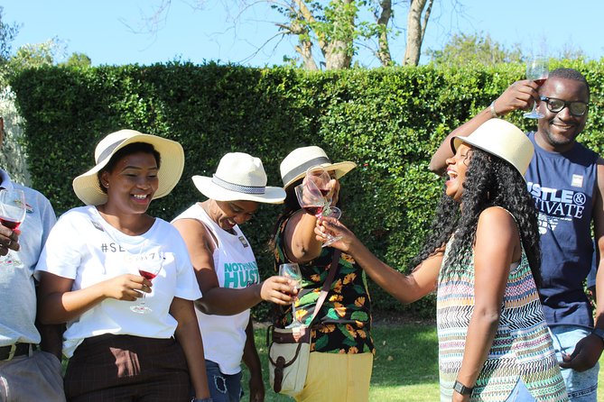 Private Wine tasting Cape Town Wineries Stellenbosch Franschoek Paarl full Day - What the guide adds to the day