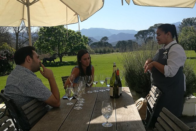 Private Wine Tour of Stellenbosch, Franschhoek and Paarl - What the wine guide adds to the day