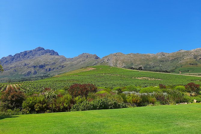 Private Wine Tour of Stellenbosch, Franschhoek and Paarl - Price, value, and what is not included