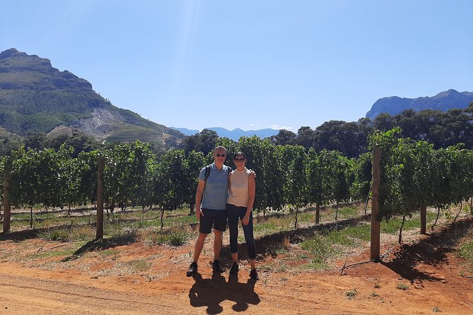 Private Wine Tour of Stellenbosch, Franschhoek and Paarl - Starting in Stellenbosch, the Cape Winelands classic