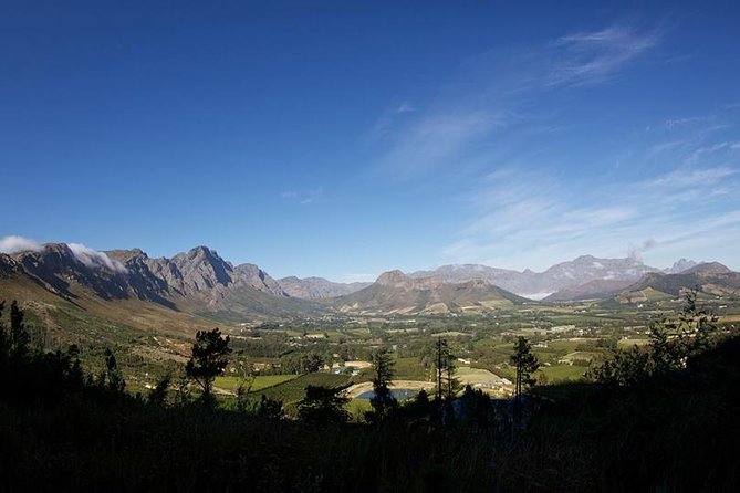 Private Wine Tour with Wine Expert to Stellenbosch-Franschhoek Wine Regions - Kanonkop and the value of a tailored route