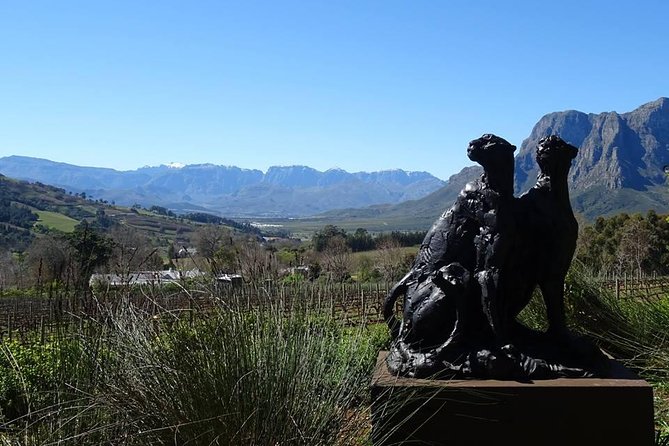 Private Wine Tour with Wine Expert to Stellenbosch-Franschhoek Wine Regions - Simonsig, a possible first taste