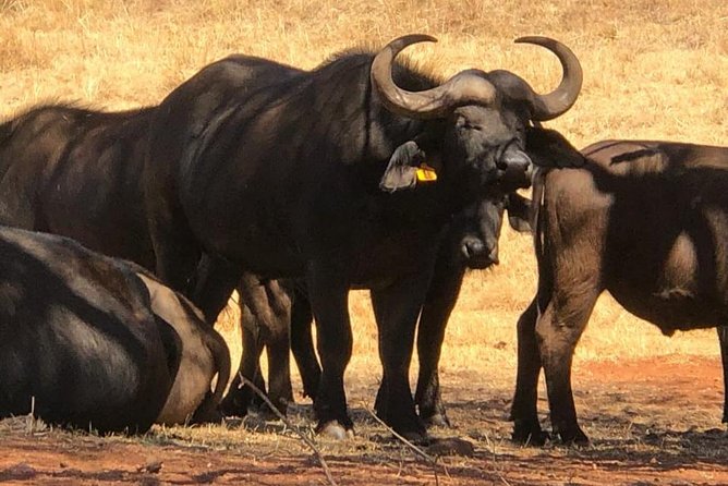 Rhino & Lion Nature Reserve - The Wonder Cave adds a change of pace