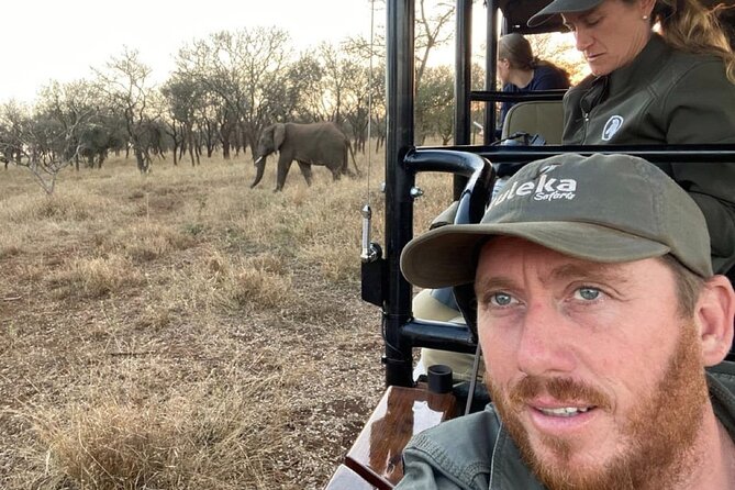 Richards Bay: Big 5 Luxury Safari at Manyoni Private Game Reserve - The morning drive: three hours when predators are active