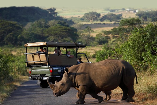 Richards Bay Shore Excursion: Private Small Group Hluhluwe Safari - Key points before you book