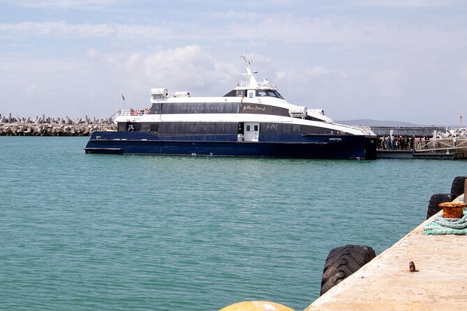 Robben Island and Table Mountain Pre Booked Tickets - The guide and the private-tour setup