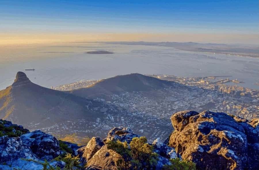 Robben Island Half Day Tour with Pre-Booked Ticket - Is $93 good value?