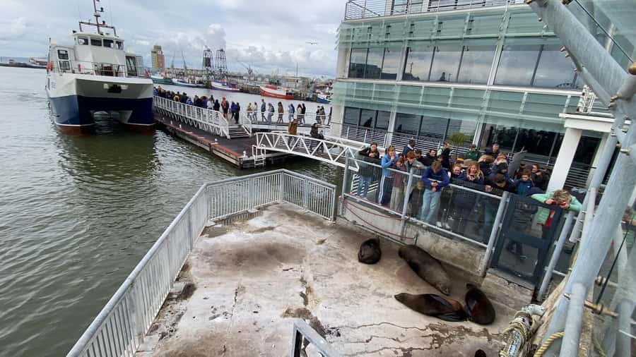 Robben Island Half Day Tour with Pre-Booked Ticket - The 30-minute ferry to Robben Island