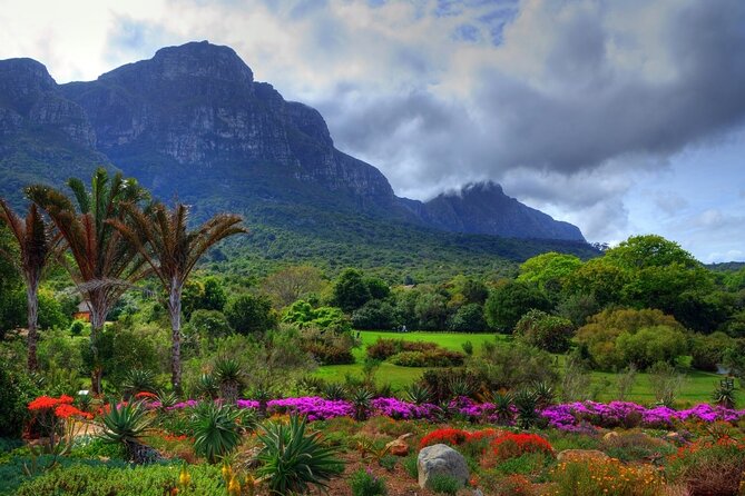 Robben Island ,Kirstenbosch Gardens and Groot Constantia. - The eight-hour schedule is efficient, not leisurely