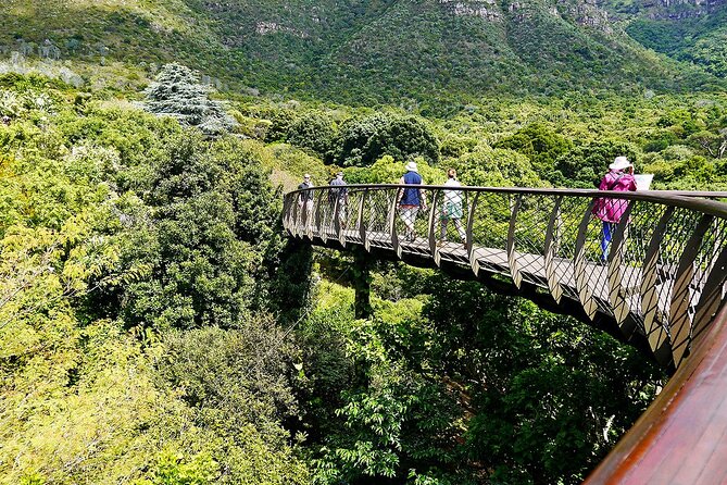 Robben Island, Kirstenbosch wine tasting Tour - Kirstenbosch: Two Hours Among Cape Town’s Plants