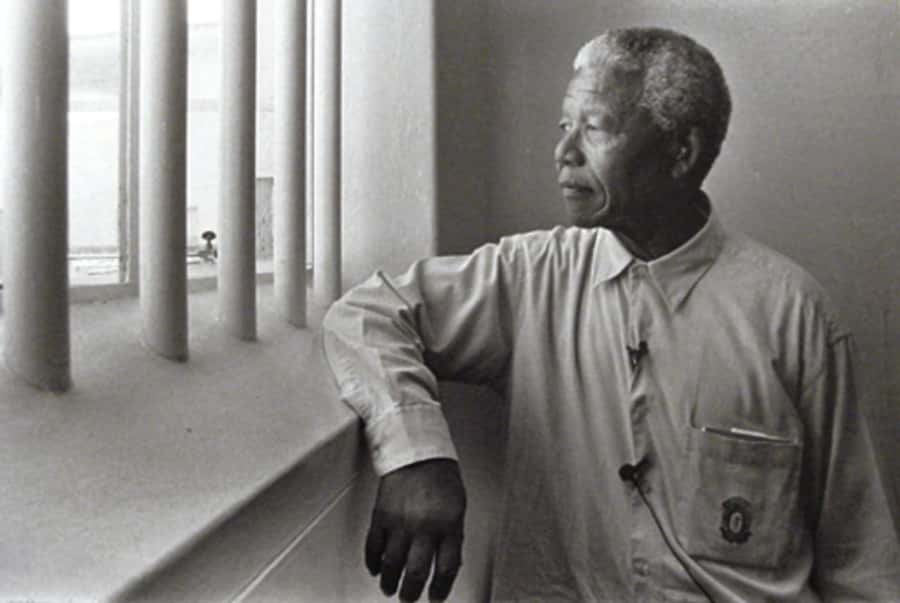 ROBBEN ISLAND MUSEUM TOUR, WITH OPTIONAL LAST MINUTE TICKETS - Arriving on the island and joining the bus tour