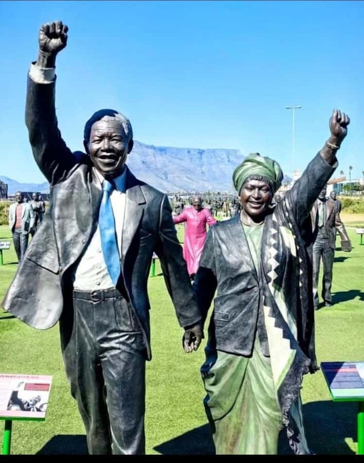 Robben Island Museum Tour with Transfer and Ferry Tickets. - Is $81 a fair price?